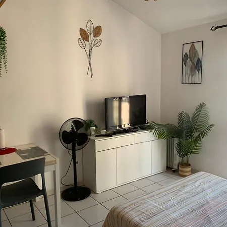 Apartment Duplex Raphael- Wi-fi Et Parking Prive Toulon